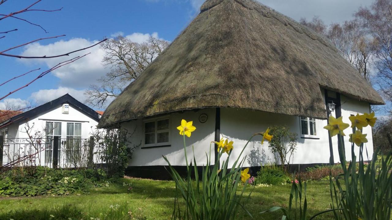 Frogs Hall B&B Eye  Екстер'єр фото